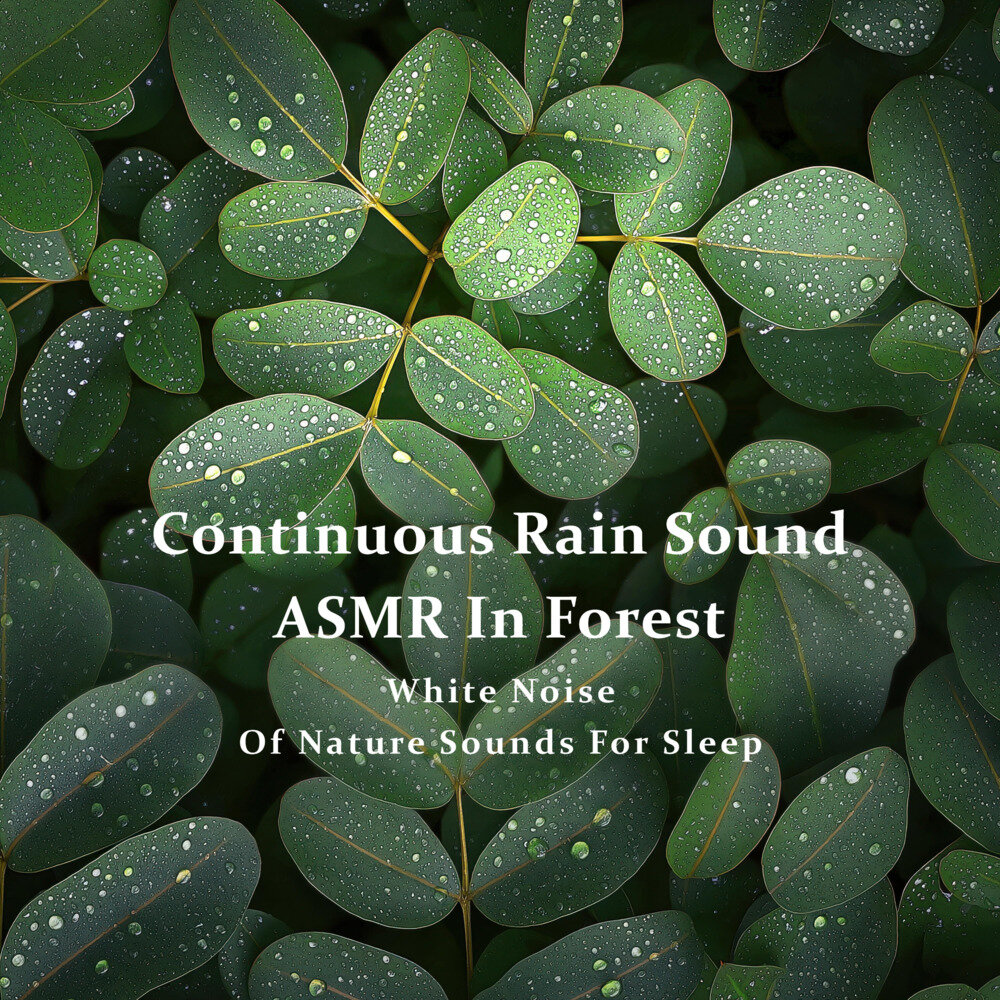 贵族音乐《连续不间断森林雨声ASMR - 睡眠白噪音自然之声》[320K/MP3][143.92MB]-影音屋
