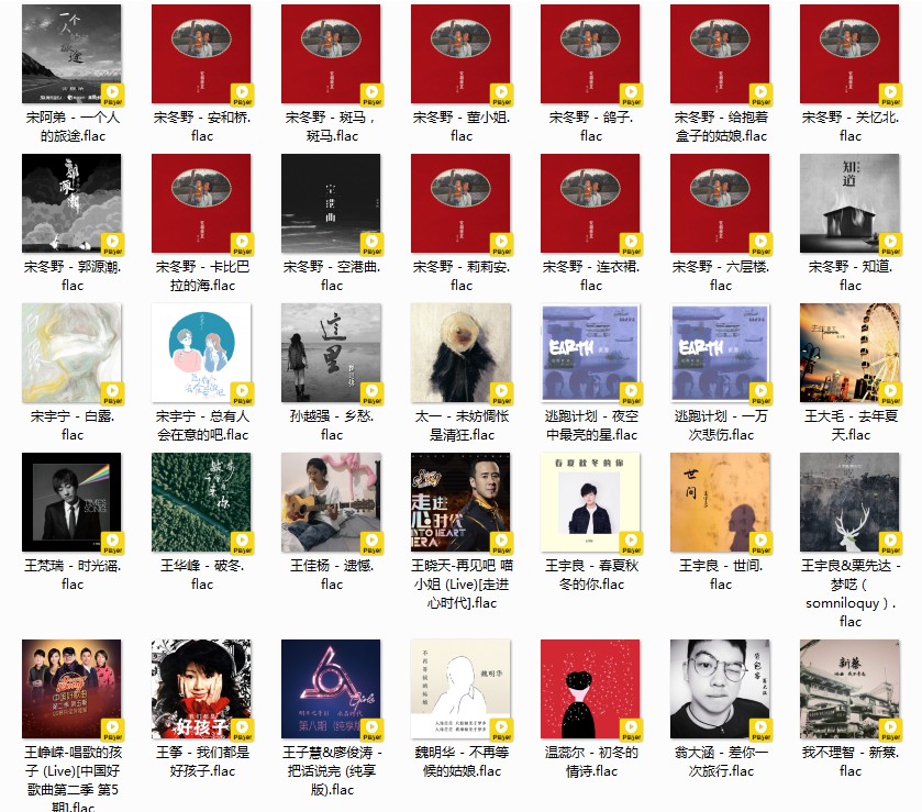 图片[8]-《歌单 民谣与酒 姑娘 吉他 南北方 甄选458首》[FLAC/MP3][12GB]-影音屋