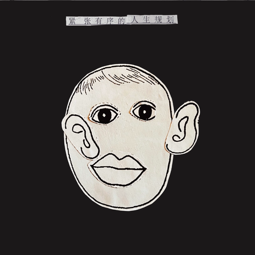 困脑壳《紧张有序的人生规划》[Hi-Res][24bit 48kHz][FLAC/分轨][458.7MB]-影音屋
