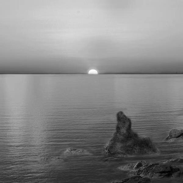 野外合作社《野外合作社》[320K/MP3][80.01MB]-影音屋