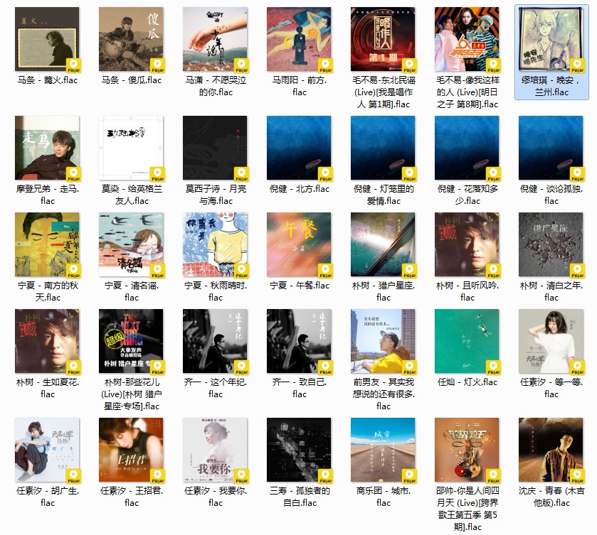 图片[7]-《歌单 民谣与酒 姑娘 吉他 南北方 甄选458首》[FLAC/MP3][12GB]-影音屋