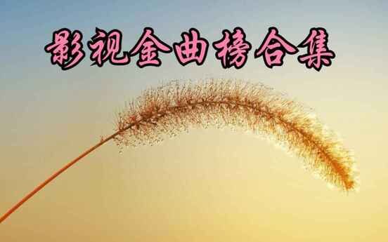 400首热门经典影视金曲合集[WAV分轨][17.4GB]-影音屋