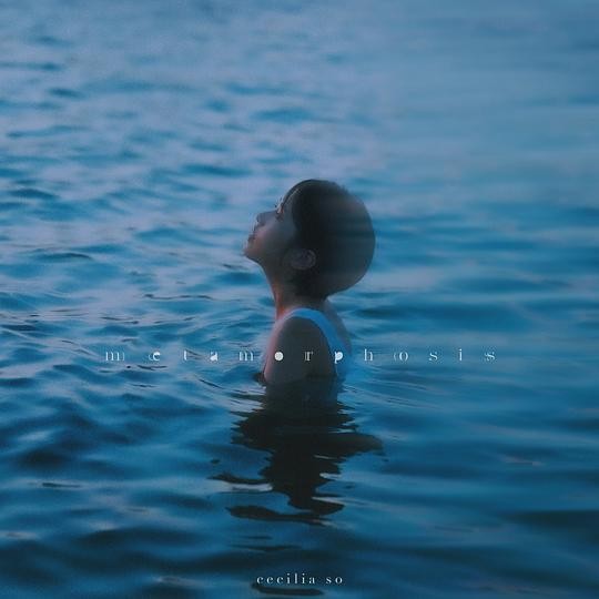 苏丽珊《metamorphosis》[FLAC/分轨][115.05MB]-影音屋