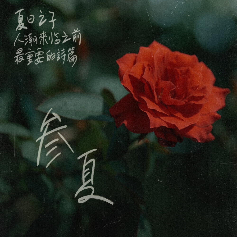 My Terrible Punk Songs《叁夏》[24Bit-48kHz][FLAC/分轨][147.44MB]-影音屋