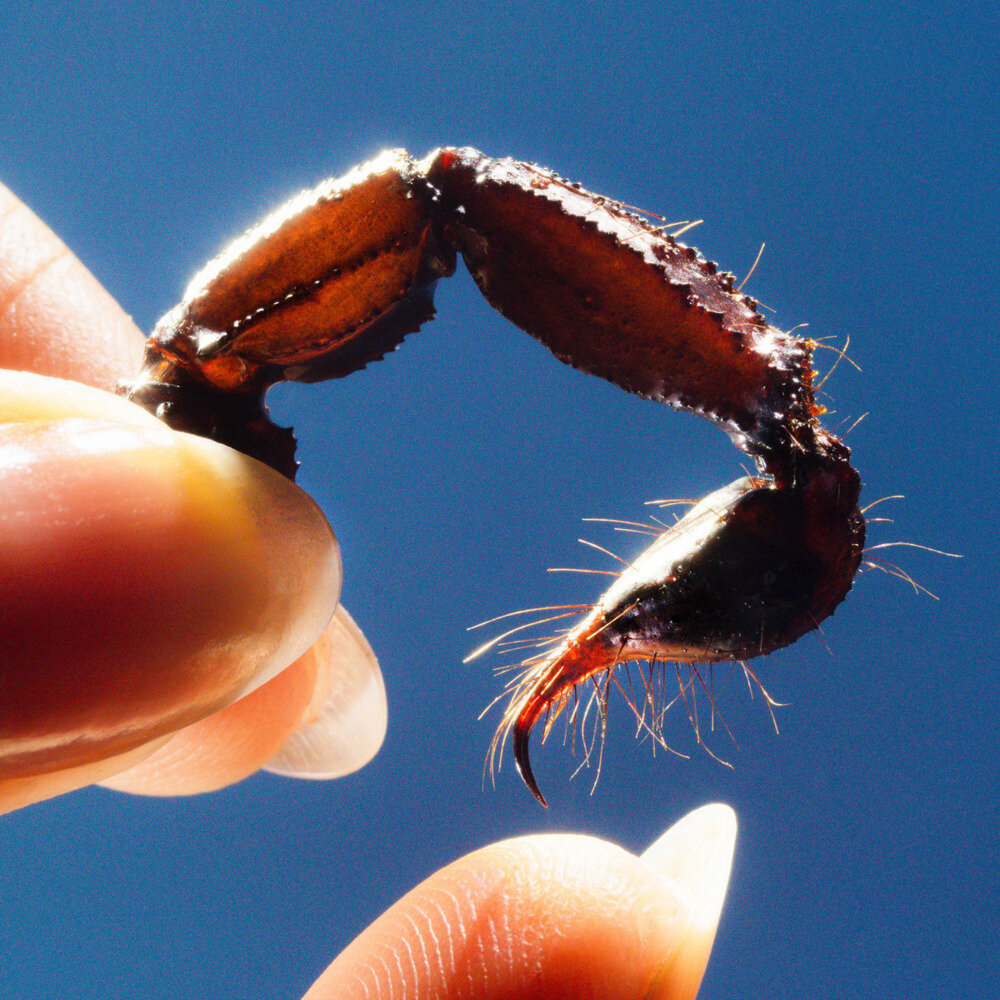 Squid《Cowards》[Hi-Res][24Bit-96kHz][FLAC/分轨][931.39MB]-影音屋