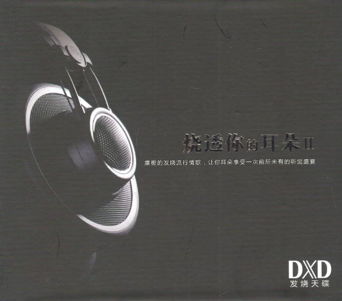 群星《烧透你的耳朵2》DXD金佰利 [低速原抓WAV+CUE][1.3G]-影音屋