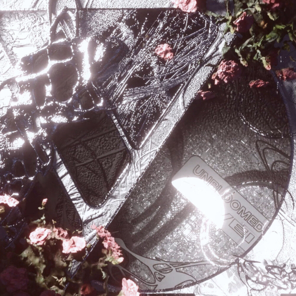 ZWEI《迟暮的花 (Explicit)》[FLAC/分轨][137.51MB]-影音屋