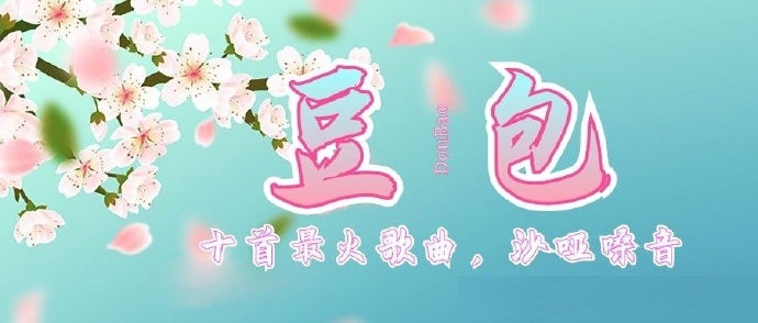 豆包《最火的十首歌曲》重底音DJ版[WAV分轨][1G]-影音屋