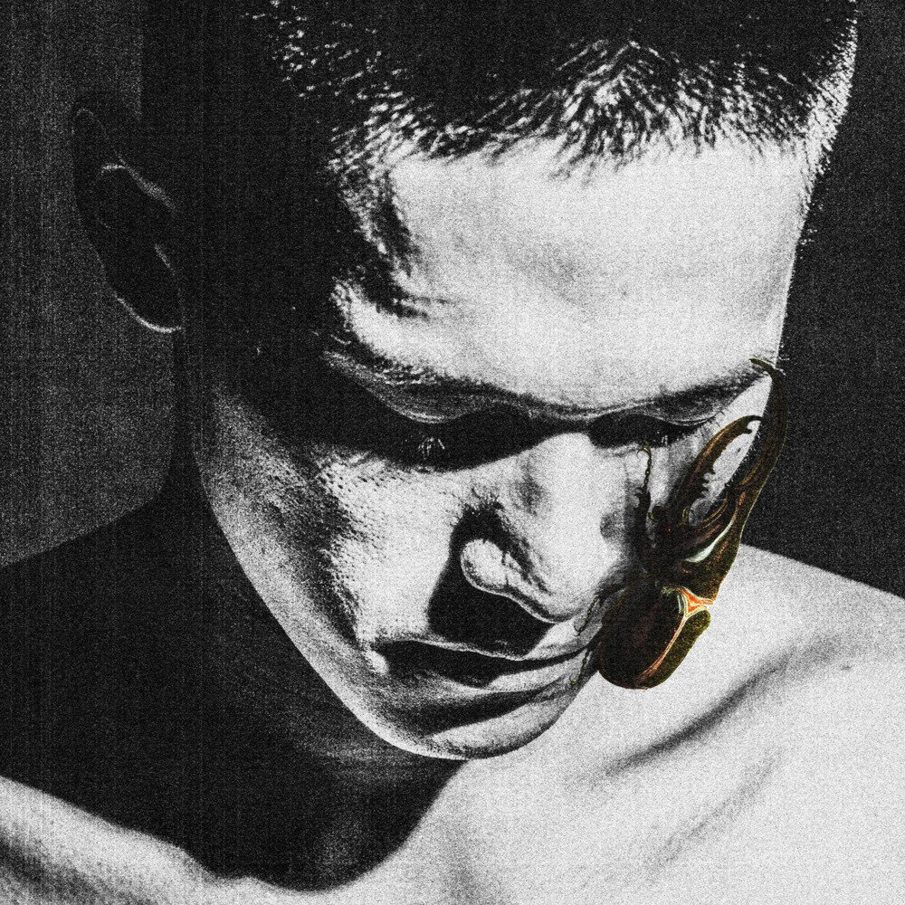 Matt Force《MATT FORCE (5th Anniversary Edition)》[FLAC/分轨][339.81MB]-影音屋