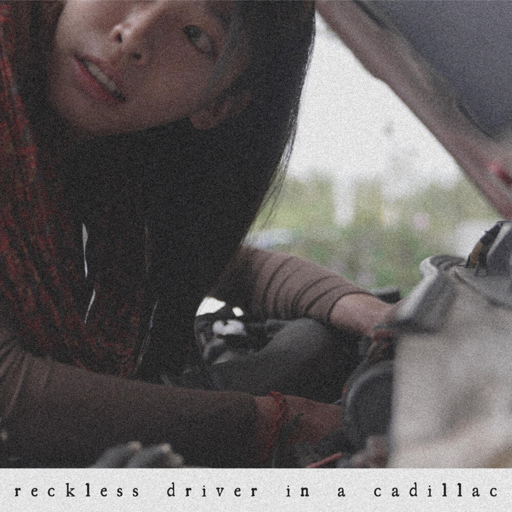 Niki the Unicorn《Reckless Driver in a Cadillac》[320K/MP3][31.23MB]-影音屋