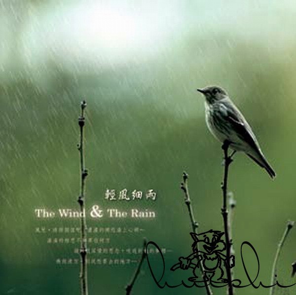 大自然音乐系列《轻风细雨》[WAV/CUE/分轨][568.3MB]-影音屋