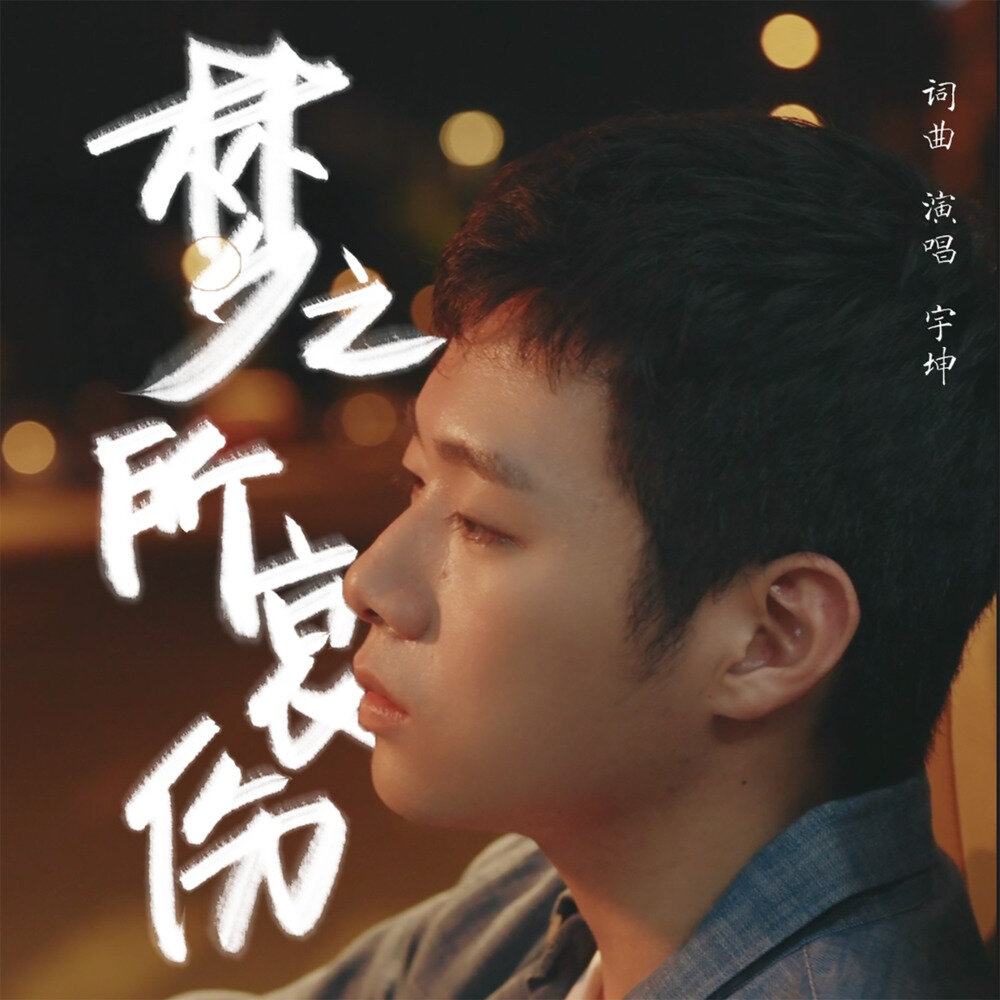 宇坤《梦之所哀伤》[320K/MP3][74.51MB]-影音屋