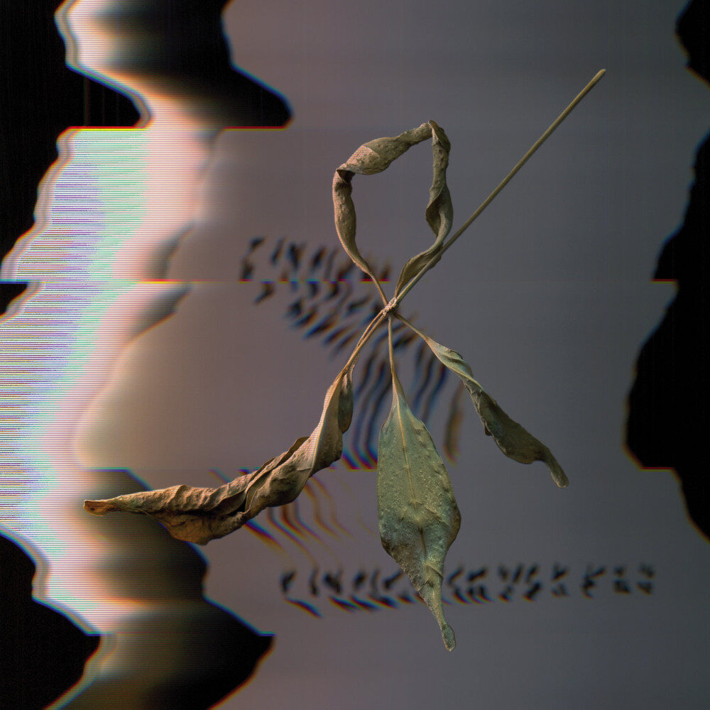 T. Gowdy《Trill Scan》[Hi-Res][24Bit-48kHz][FLAC/分轨][492.78MB]-影音屋