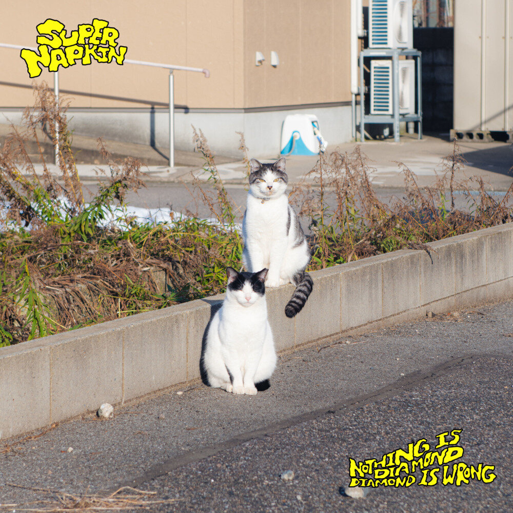 Super Napkin《Nothing is Diamond, Diamond is Wrong》[320K/MP3][25.36MB]-影音屋