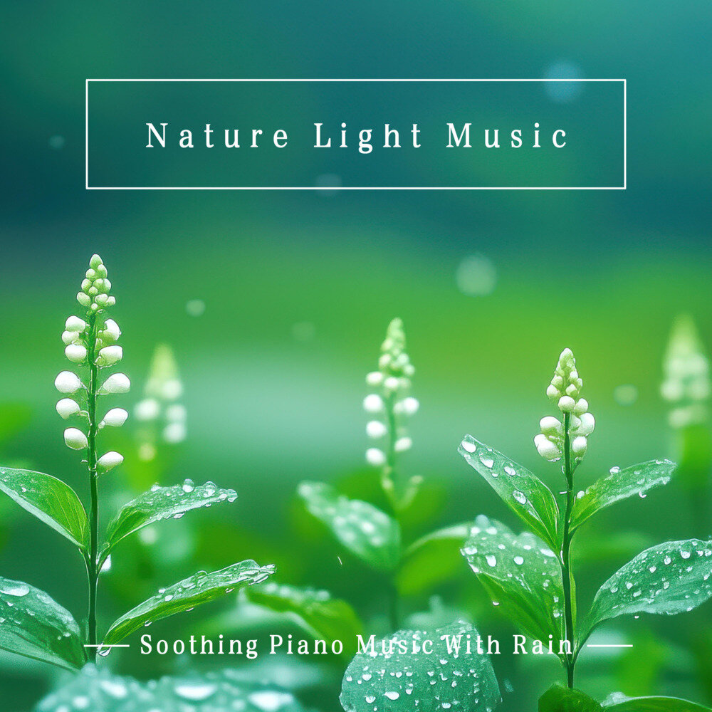 纪钧瀚《大自然轻音乐 雨声舒缓钢琴曲》[320K/MP3][148MB]-影音屋