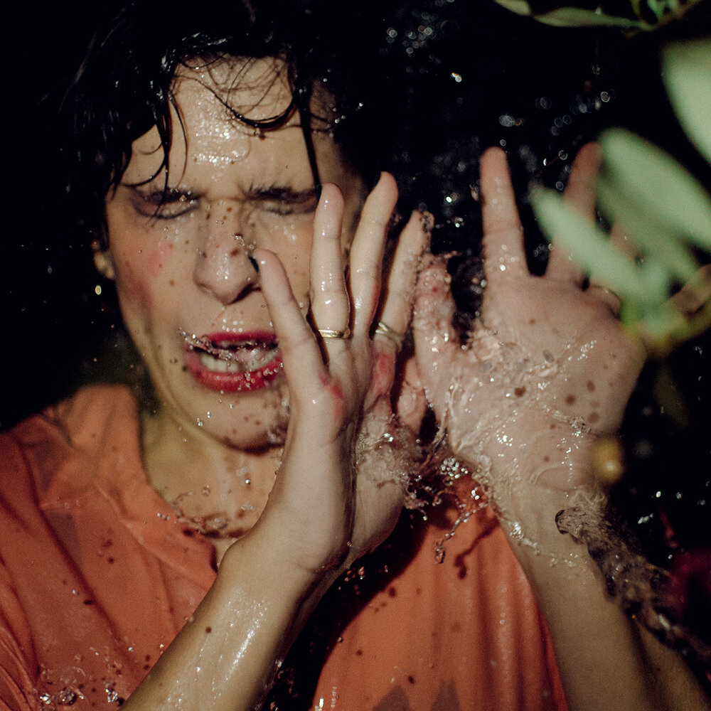 Regener Pappik Busch《Field Of Lights》[24Bit-44.1kHz][FLAC/分轨][487.51MB]-影音屋