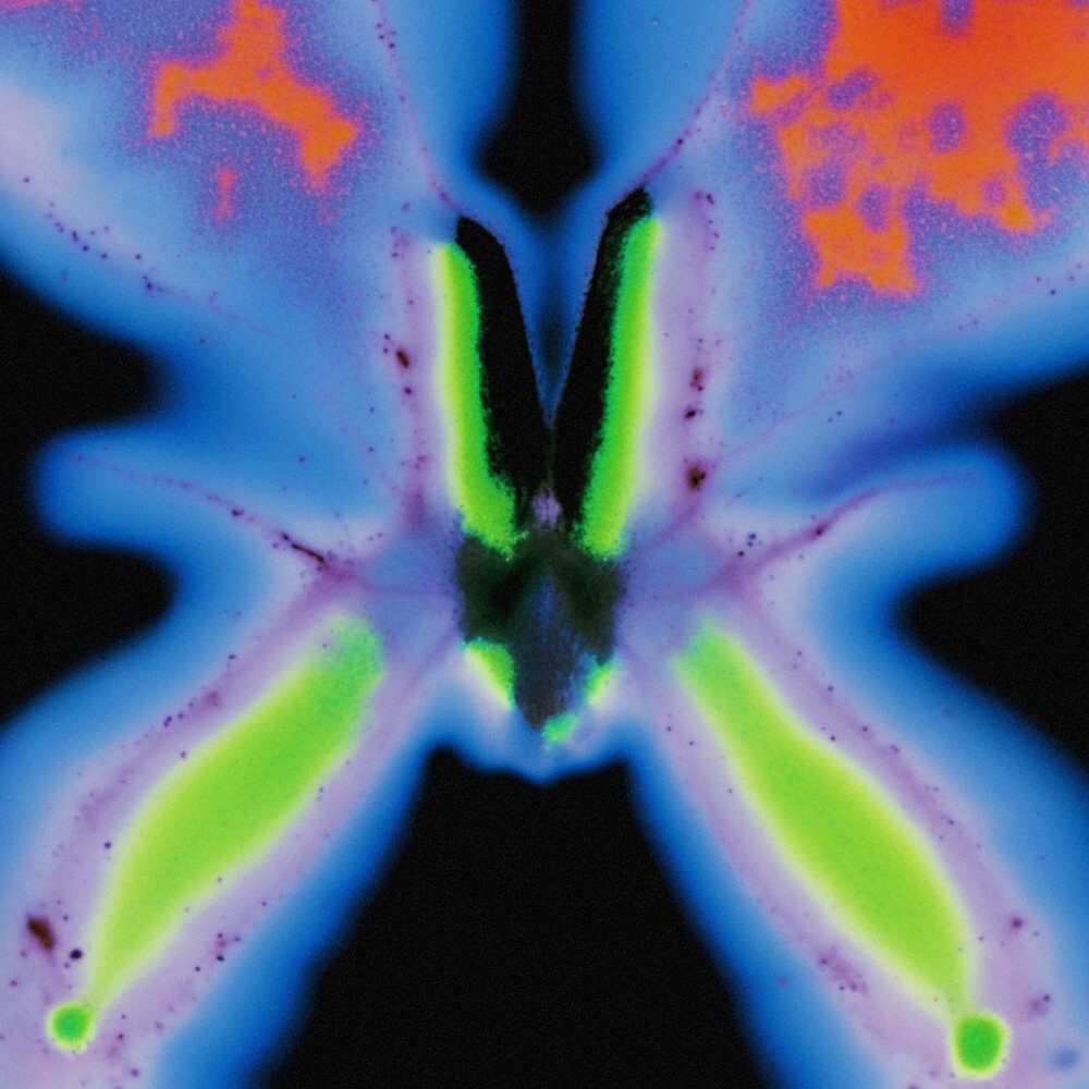 Judith Hamann《Aunes》[Hi-Res][24Bit-48kHz][FLAC/分轨][384.16MB]-影音屋