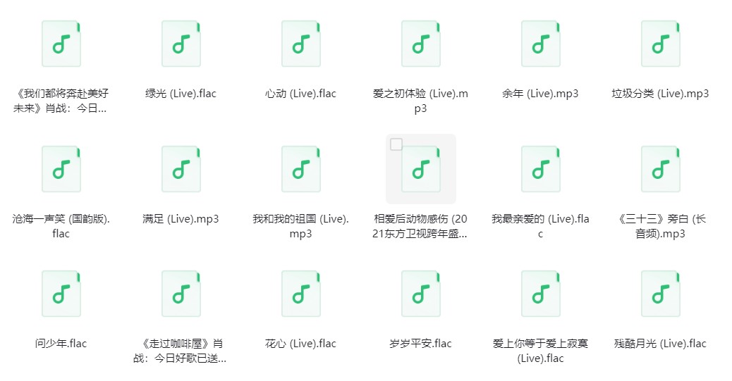 图片[4]-肖战《肖战歌曲合集》[FLAC/分轨][2.1G]-影音屋