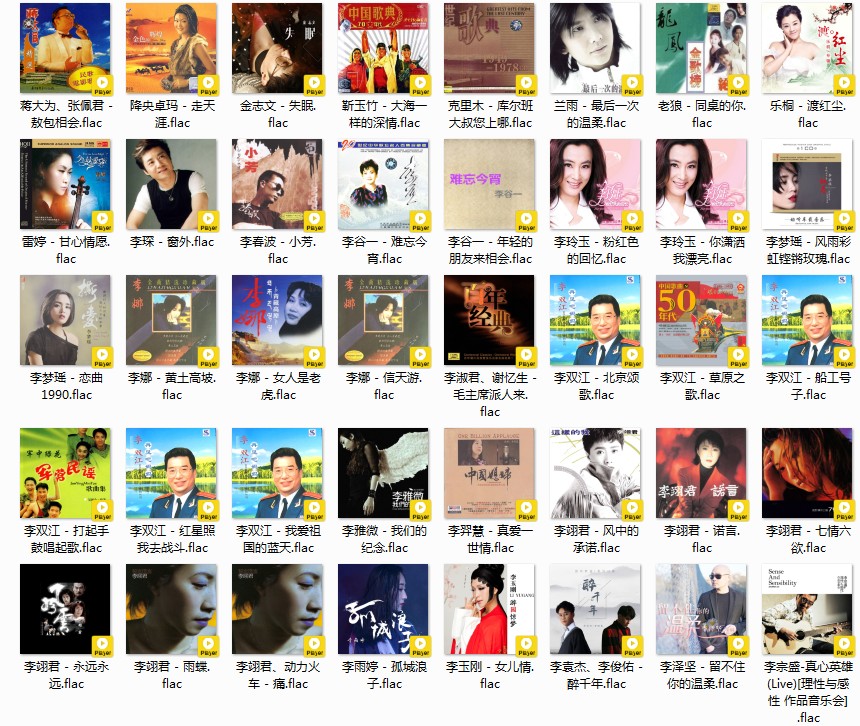 图片[4]-《华语歌单 经典老歌 收集319首 满满的回忆 内嵌词图》[FLAC/分轨][8.5GB]-影音屋