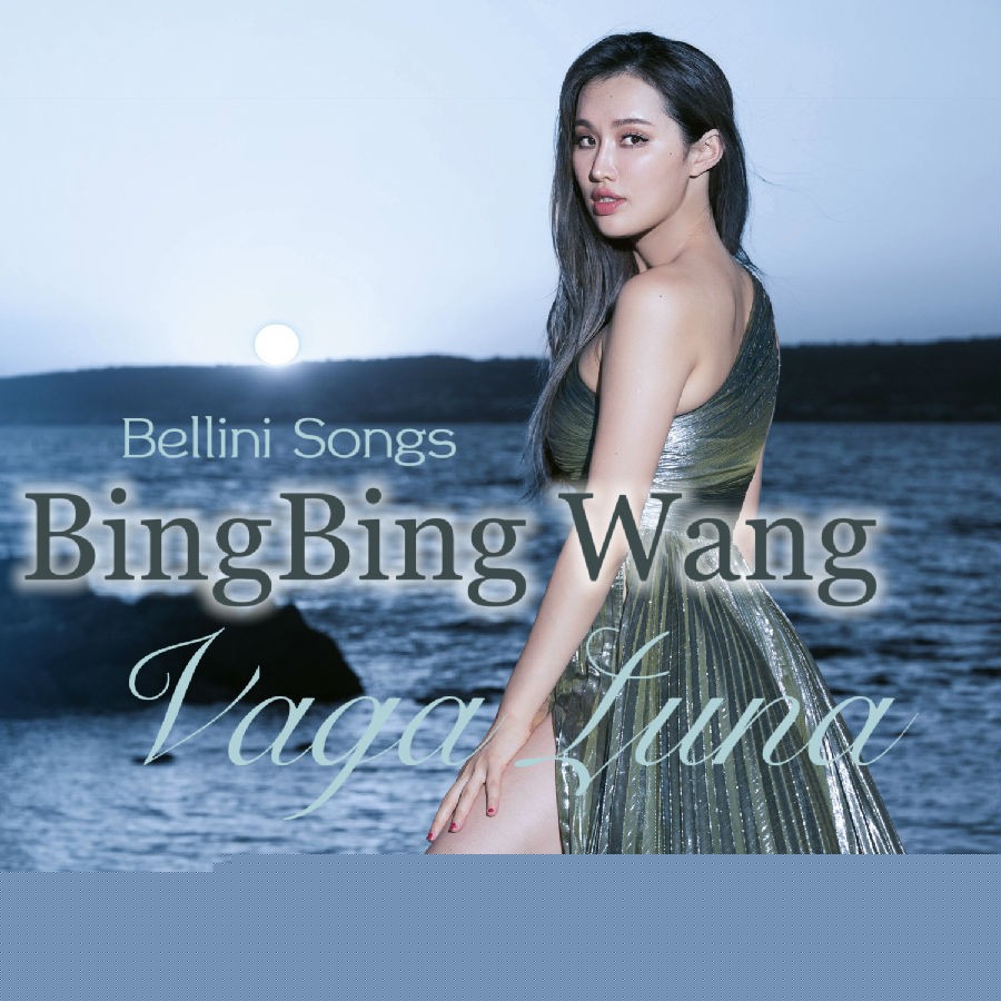 王冰冰《Vaga Luna 月球漫游》[320K/MP3][62.76MB]-影音屋