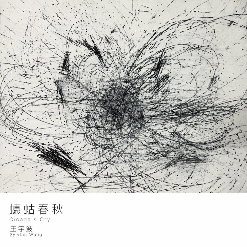 王宇波 Sylvian Wang《Cicadas Cry 蟪蛄春秋》[320K/MP3][102.16MB]-影音屋