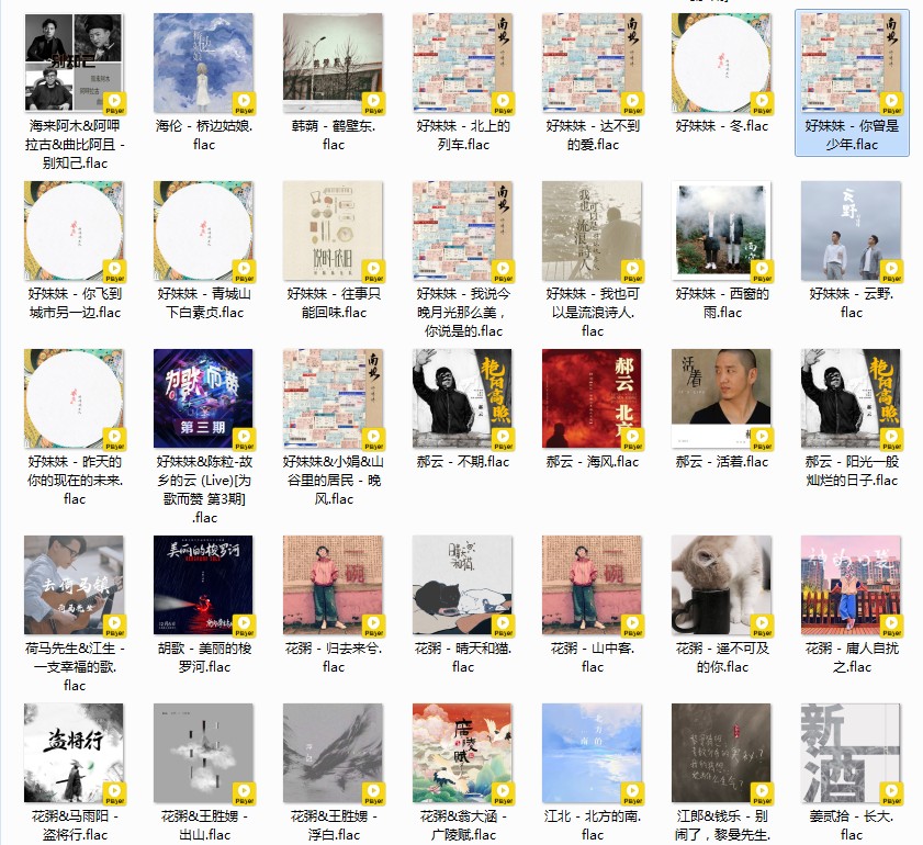 图片[4]-《歌单 民谣与酒 姑娘 吉他 南北方 甄选458首》[FLAC/MP3][12GB]-影音屋