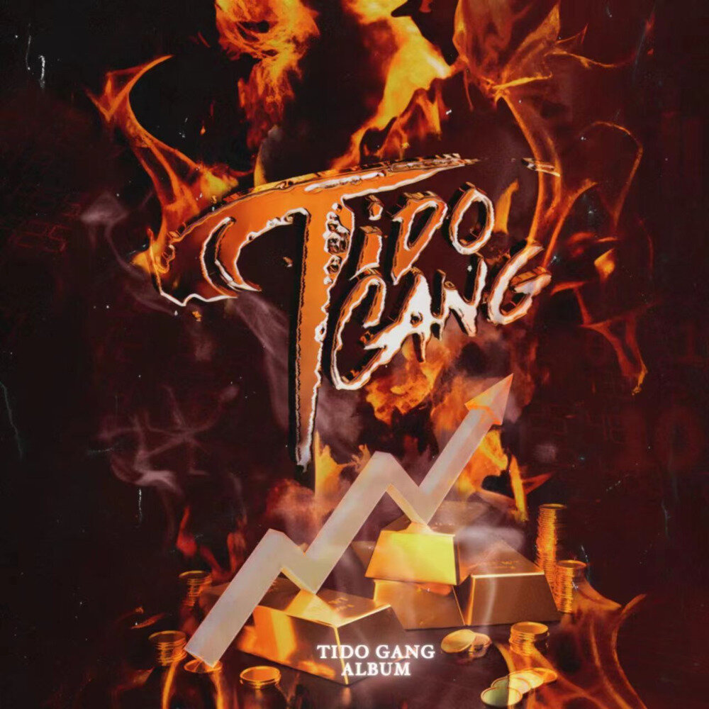 TIDOGANG《TIDO (Explicit)》[320K/MP3][82.97MB]-影音屋