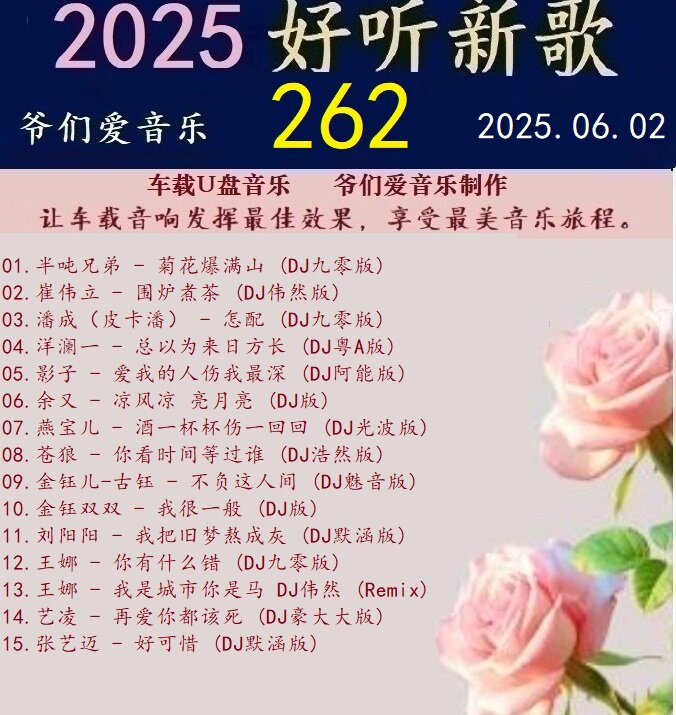 群星DJ《2025好听新歌262》车载音乐[WAV分轨][682M]-影音屋