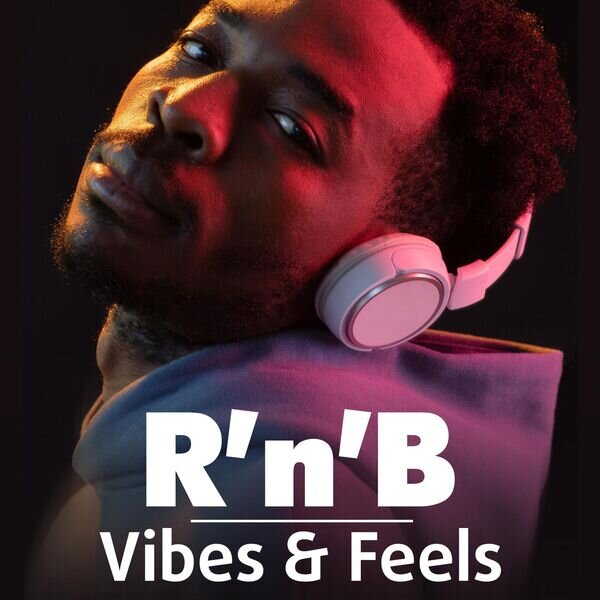 Various Artists《R'n'B Vibes & Feels》[16Bit-44.1kHz][FLAC/分轨][639.32MB]-影音屋