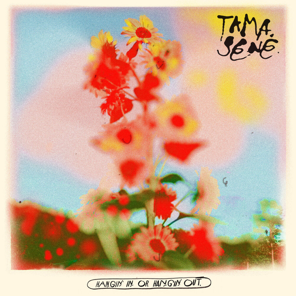 Tamasene《Hangin' In or Hangin' Out》[16Bit-44.1kHz][FLAC/分轨][256.74MB]-影音屋