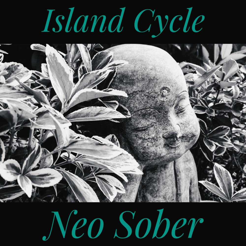 Island Cycle《Neo Sober》[FLAC/分轨][192.78MB]-影音屋