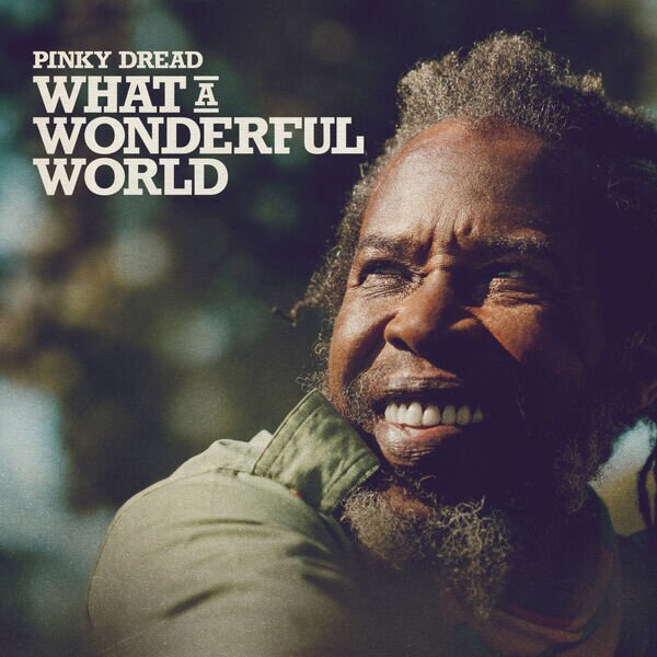 Pinky Dread《What a Wonderful World》[Hi-Res][24Bit-192kHz][FLAC/分轨][520.89MB]-影音屋
