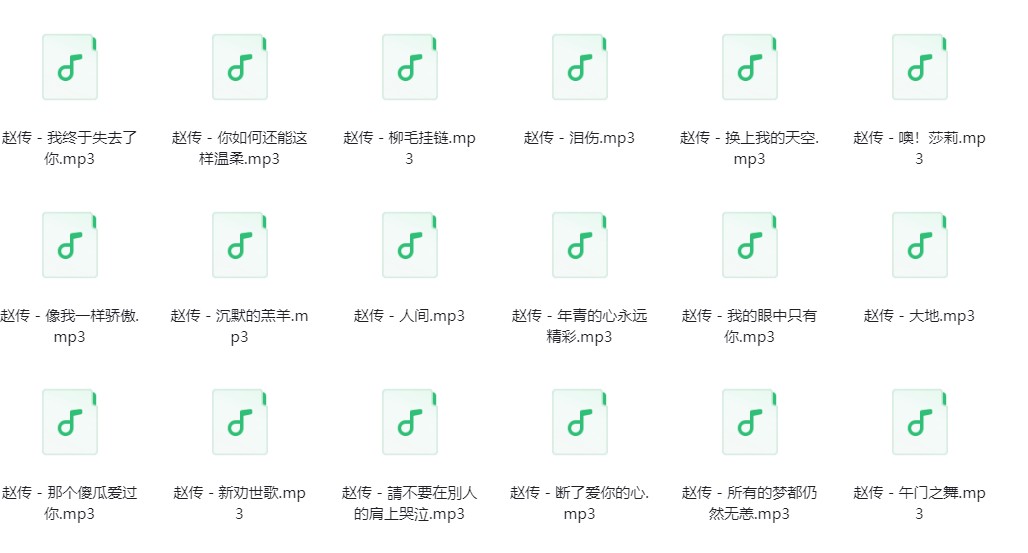 图片[2]-赵传《赵传歌曲合集》[320K/MP3][692.4MB]-影音屋