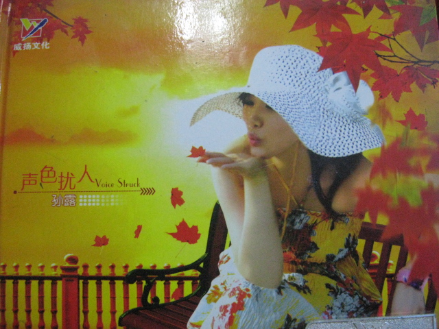 孙露《声色扰人》[WAV分轨][536M]-影音屋