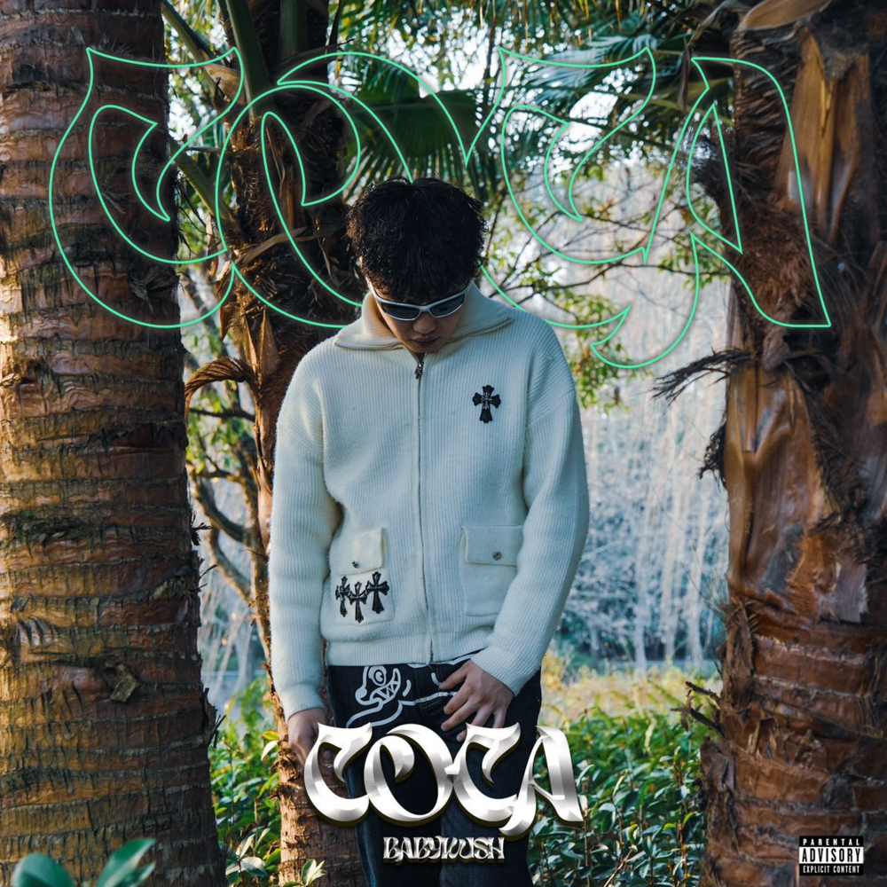 BABYKUSH《COCA》[FLAC/分轨][149.44MB]-影音屋