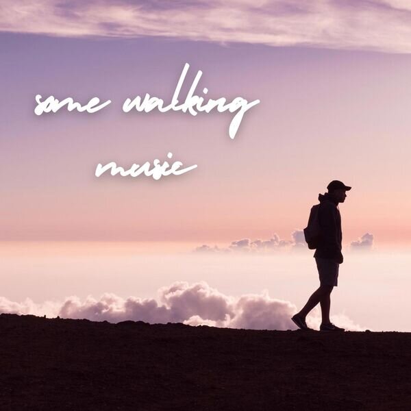 Various Artists《some walking music》[16Bit-44.1kHz][FLAC/分轨][543.66MB]-影音屋
