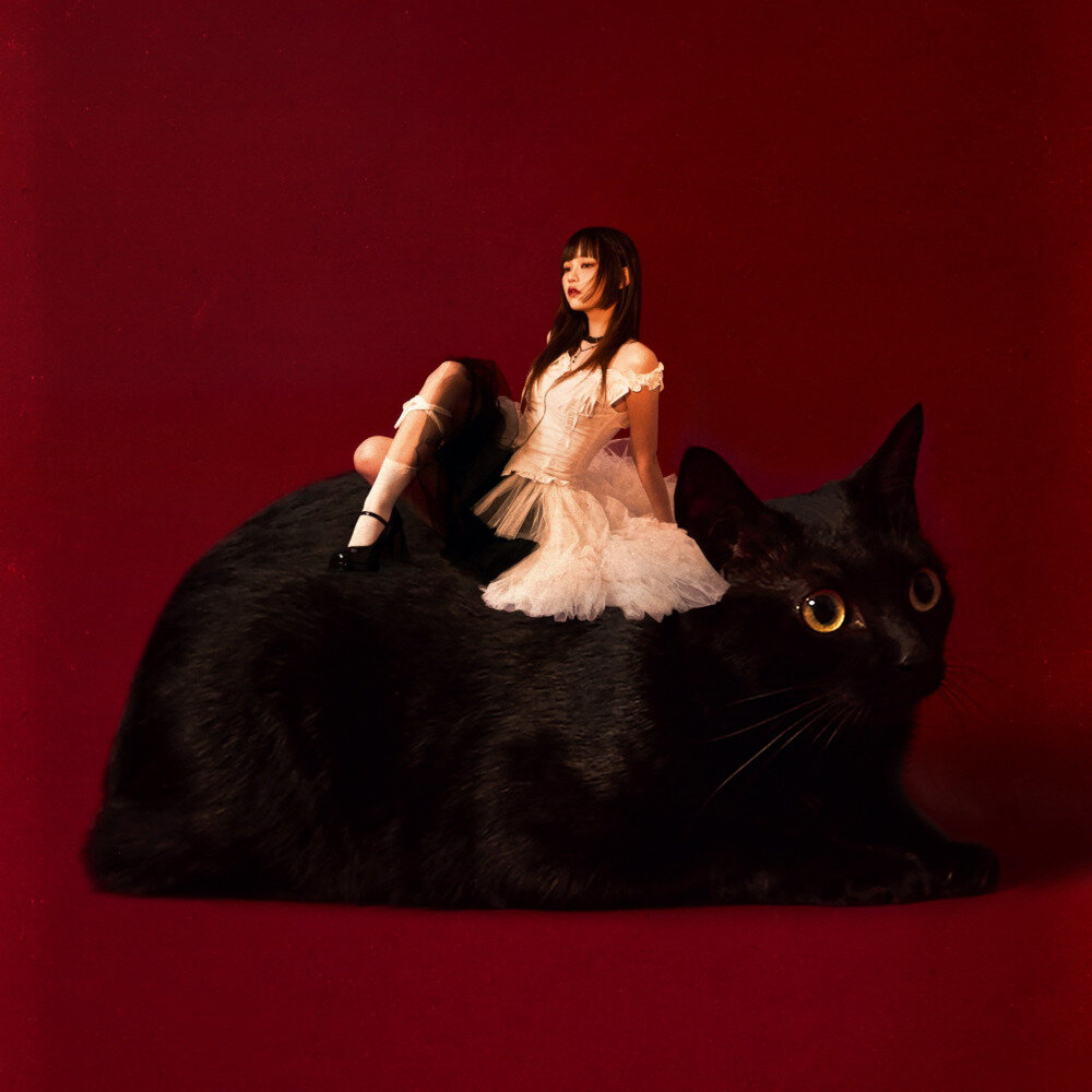 荞Chiao《从来没有的是》[320K/MP3][31.89MB]-影音屋