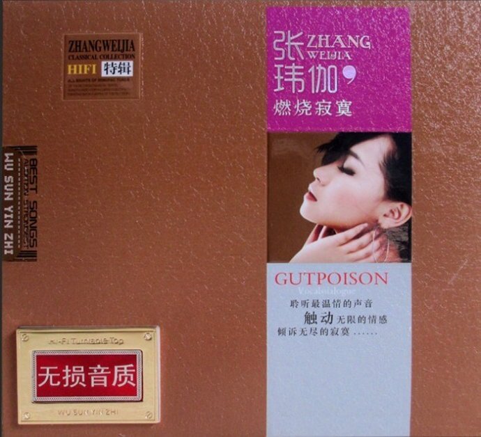 张玮伽《燃烧寂寞》HIFI高保真精选特辑珍藏版[WAV分轨][600M]-影音屋