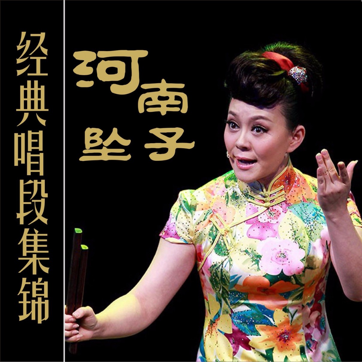 坠子《坠子——视频+MP3》[WAV+MP3][43G]-影音屋