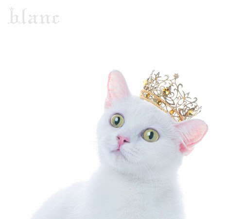 Aimer – BEST SELECTION “blanc” [320K][163.7MB]-影音屋
