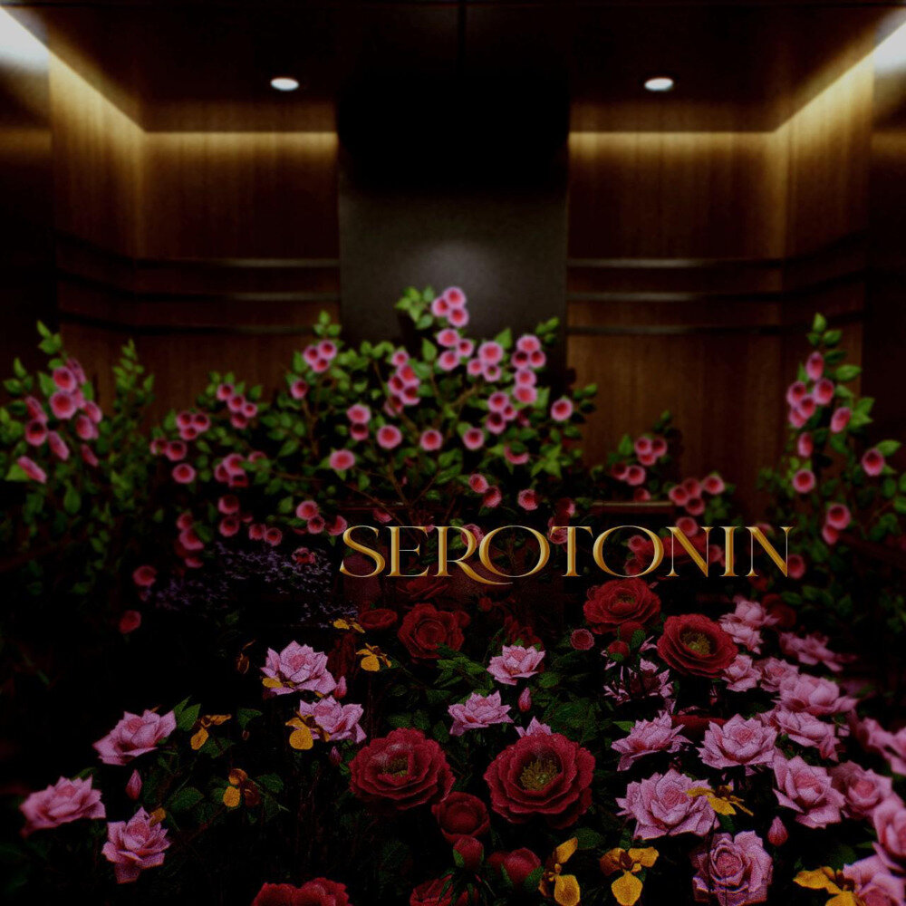 被迫博爱《Serotonin》[Hi-Res][24Bit-48kHz][FLAC/分轨][137.56MB]-影音屋