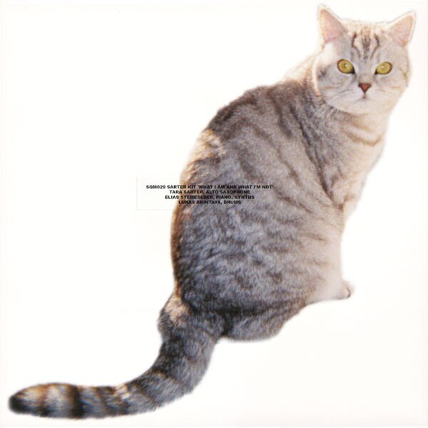 Sarter Kit《What I Am and What I'm Not》[Hi-Res][24Bit-48kHz][FLAC/分轨][353.93MB]-影音屋