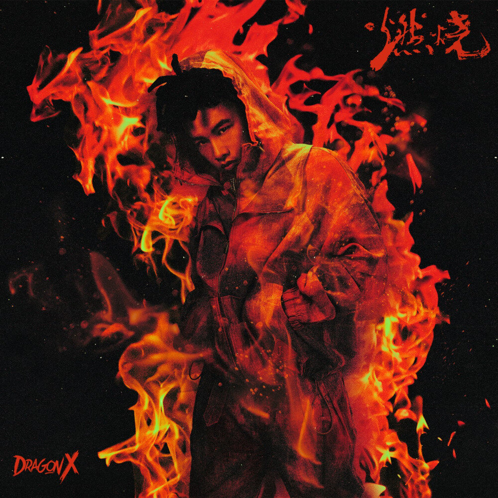 赵辰龙《燃烧》[FLAC/分轨][202.69MB]-影音屋