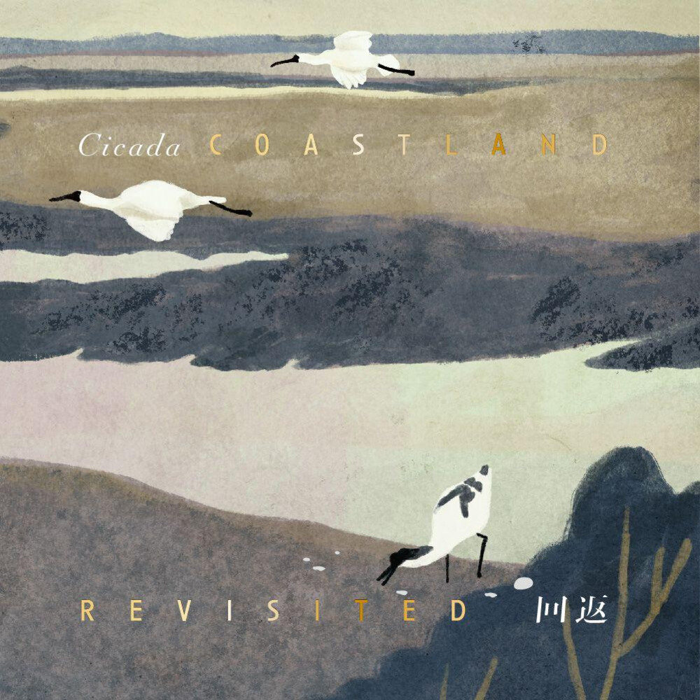 Cicada《回返 (十五周年自选集)》[320K/MP3][93.87MB]-影音屋