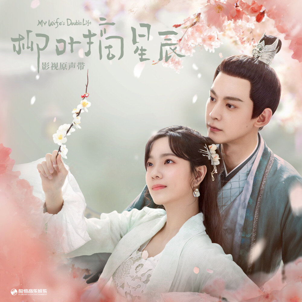 群星《柳叶摘星辰 影视原声带》[320K/MP3][65.03MB]-影音屋