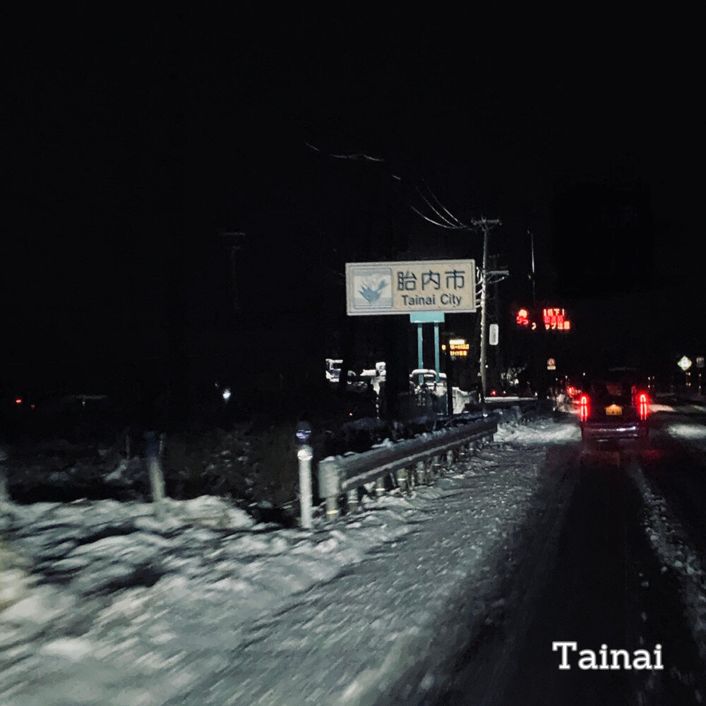 吕绍淳《胎内》[FLAC/分轨][123.98MB]-影音屋