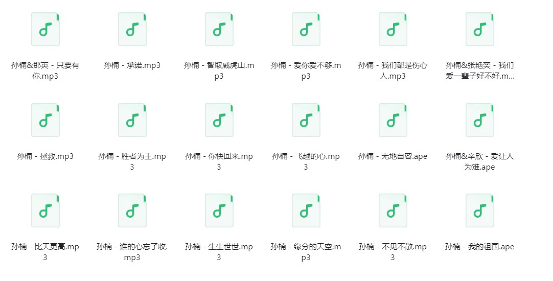 图片[2]-孙楠《孙楠歌曲合集》[320K/MP3][252.2MB]-影音屋