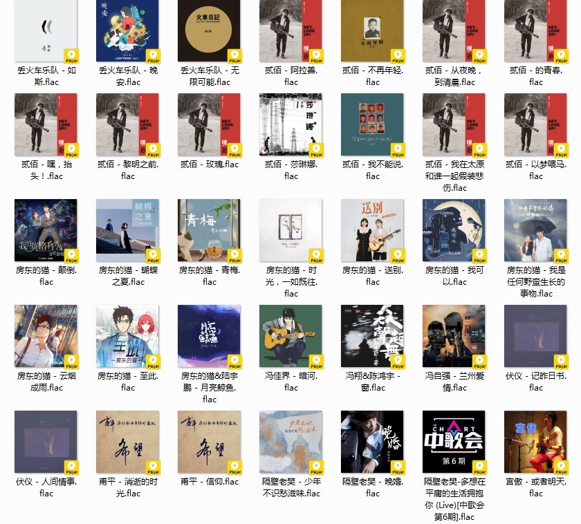 图片[3]-《歌单 民谣与酒 姑娘 吉他 南北方 甄选458首》[FLAC/MP3][12GB]-影音屋