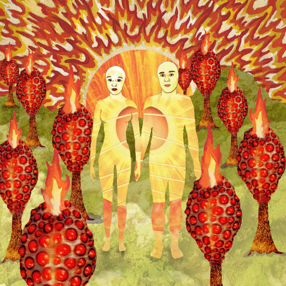 Of Montreal《The Sunlandic Twins (20th Anniversary Edition)》[Hi-Res][24Bit-96kHz][FLAC/分轨][2.83G]-影音屋
