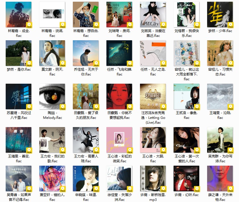 图片[2]-《歌单 华语佳作205首 让听歌成为享受》[FLAC/MP3][6.8GB]-影音屋